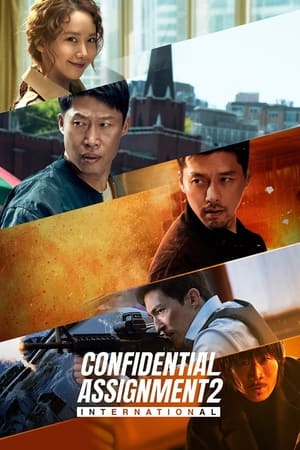 Confidential Assignment 2: International (2022) Hindi Dual Audio HDRip 720p – 480p