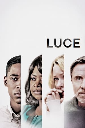 Luce 2019 Hindi Dual Audio 720p Web-DL [1GB]