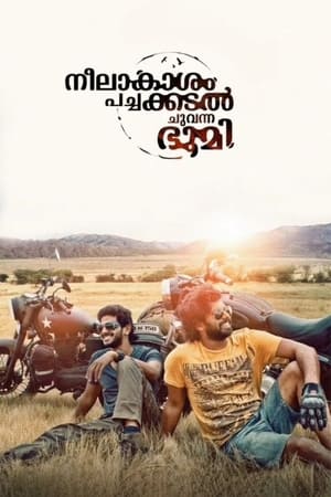 Neelakasham Pachakadal Chuvanna Bhoomi (2013) Hindi Dubbed 720p HDRip [1.4GB]