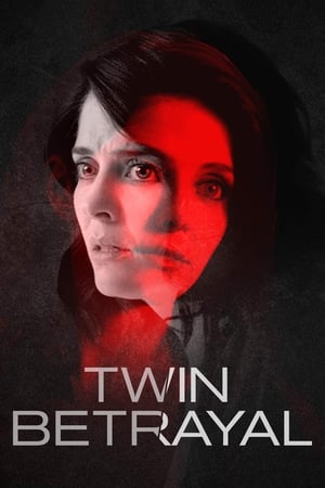 Twin Betrayal (2018) Hindi Dual Audio 480p HDRip 390MB