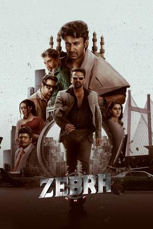 Zebra 2024 Telugu Dubbed CAMRip 1080p